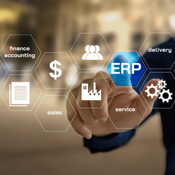 ERP Service Provider in the USA