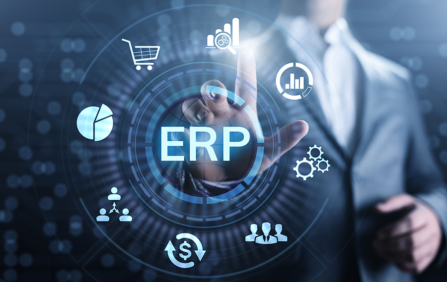 ERP consulting services in Europe